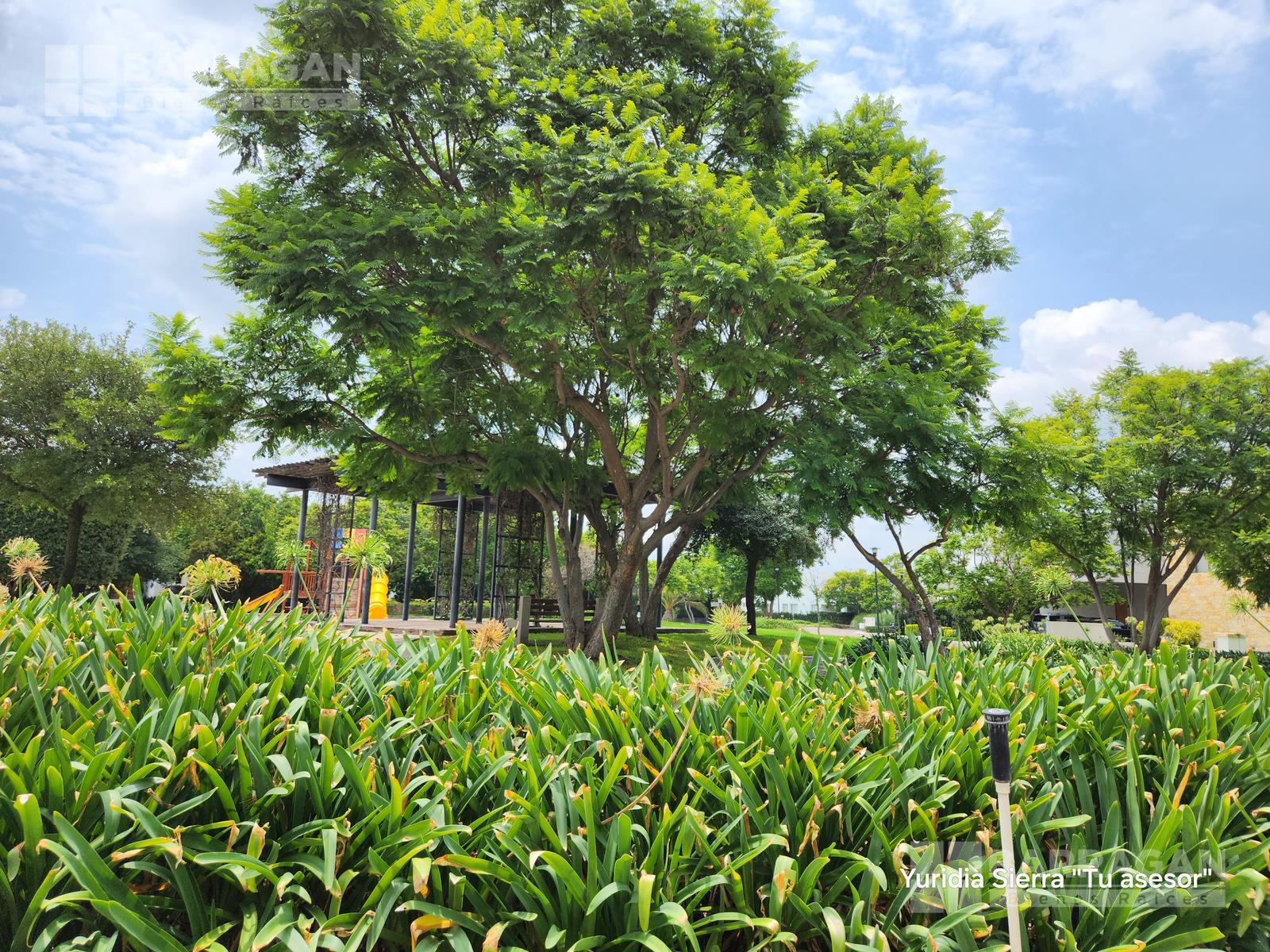 Lote residencial en venta cerca de área verde